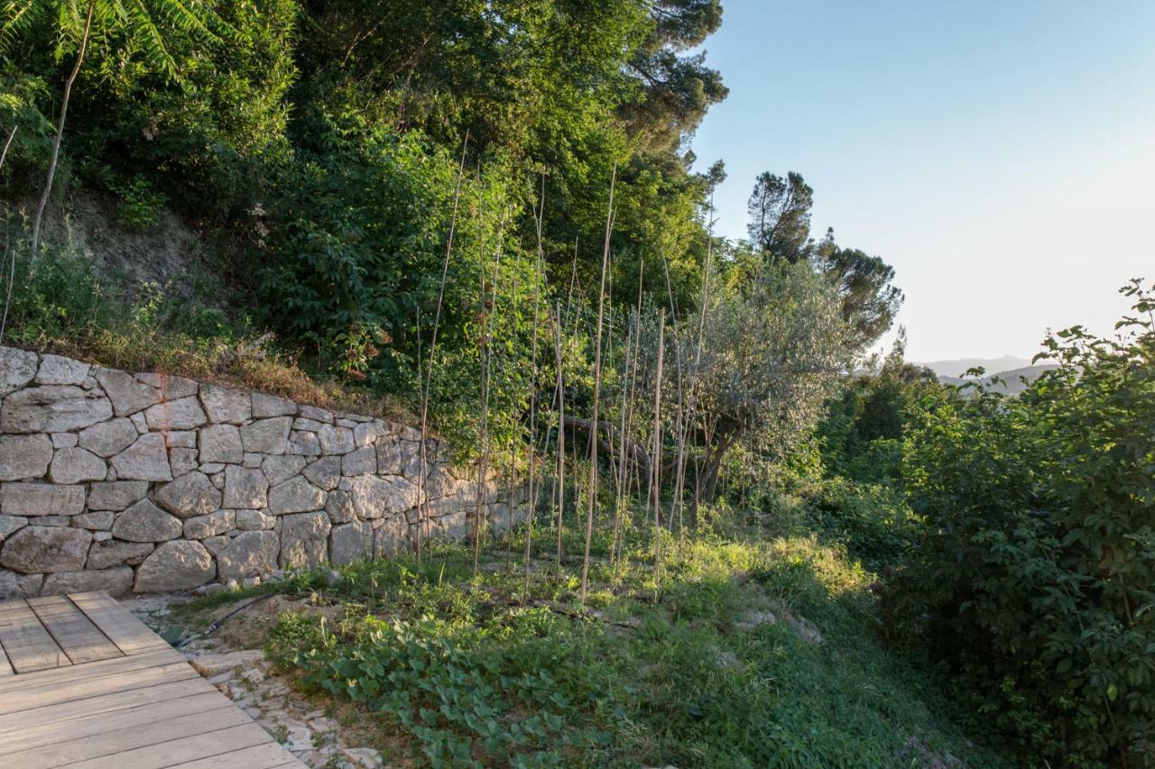 Villa Fortezza Antique Rooms Ascoli Piceno Eksteriør billede